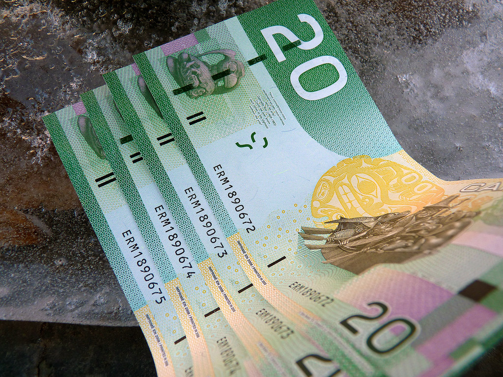 Indirect Taxes Paid by Canadians cost you more than you'd ever want to know