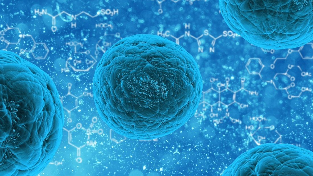 What are Stem Cells and What is Their Role in Regenerative Medicine?