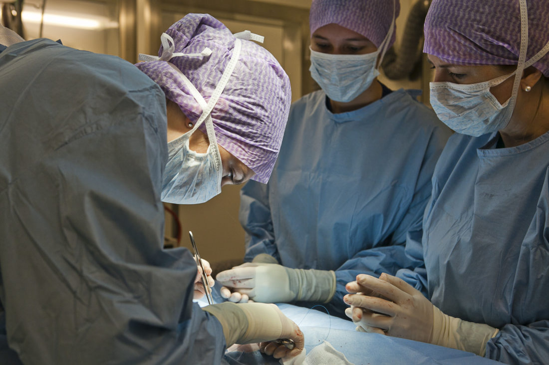 Veterinary_students_in_surgery_at_SLU_University_Animal_Hospital