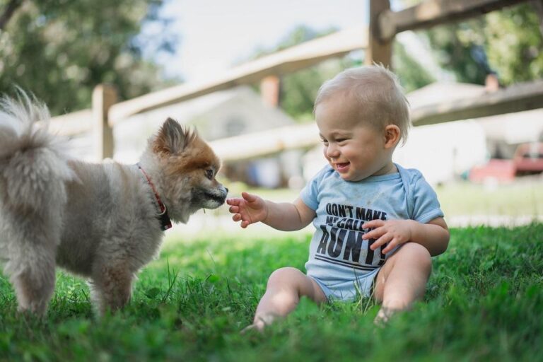 what-is-a-provoked-dog-bite-all-consuming