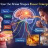 flavor perception